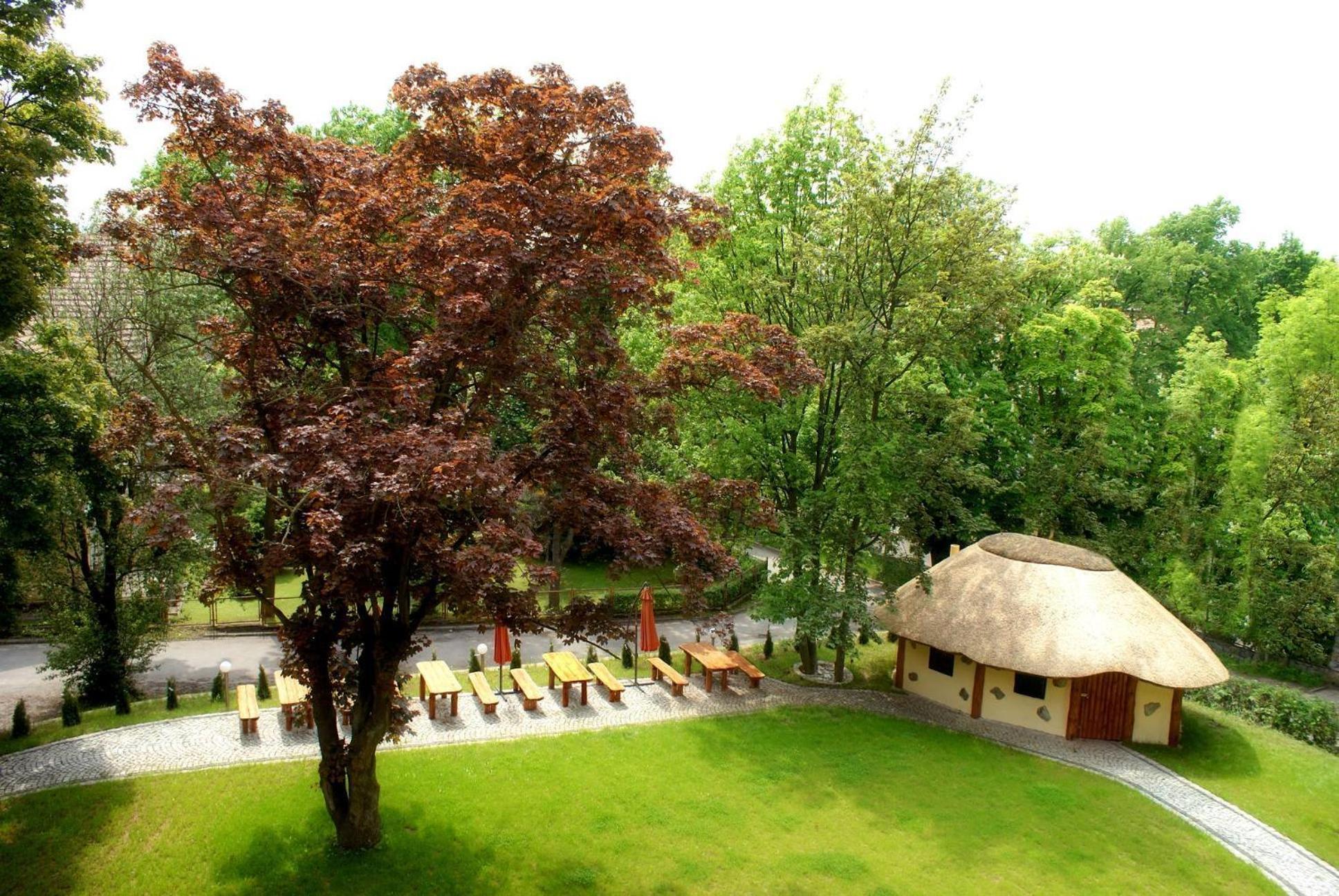 Villa Carmen Kudowa-Zdrój Esterno foto